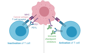 Immunotherapy