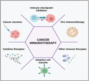 Immunotherapy