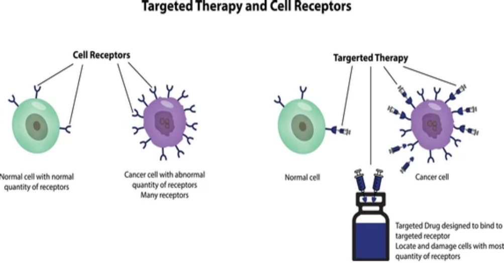 Types of Cancer Treated with Targeted Therapy in Mumbai