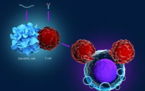 Immunotherapy (3)